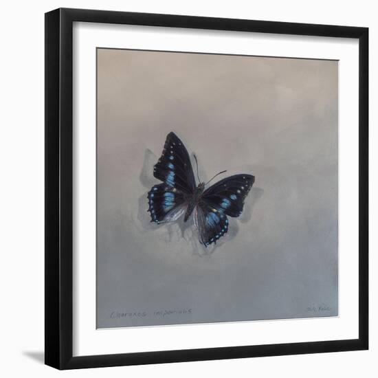 Charaxes imperialis 1, 2014-Odile Kidd-Framed Giclee Print