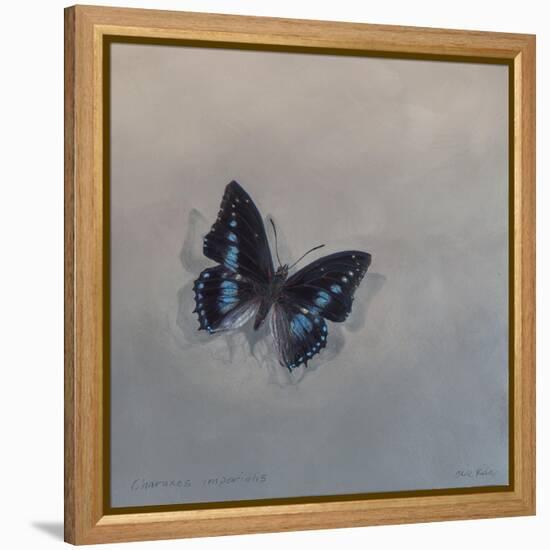 Charaxes imperialis 1, 2014-Odile Kidd-Framed Premier Image Canvas