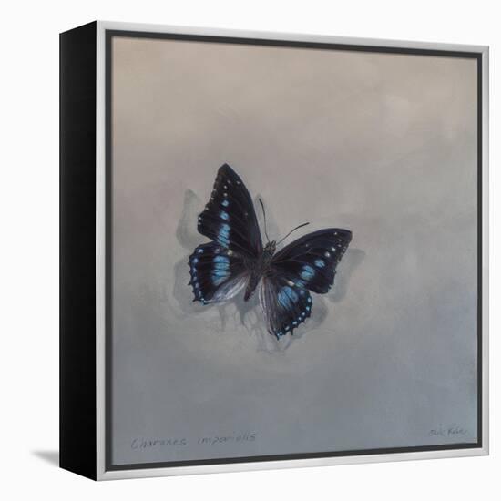 Charaxes imperialis 1, 2014-Odile Kidd-Framed Premier Image Canvas