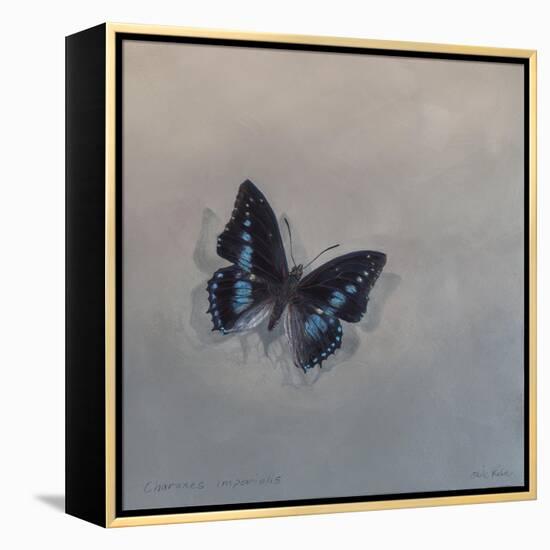 Charaxes imperialis 1, 2014-Odile Kidd-Framed Premier Image Canvas