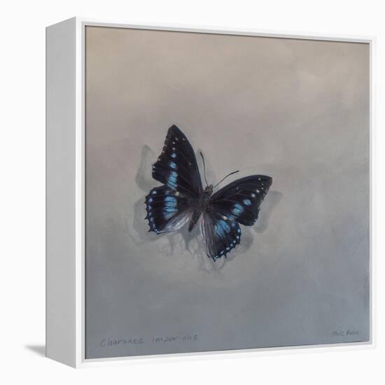 Charaxes imperialis 1, 2014-Odile Kidd-Framed Premier Image Canvas