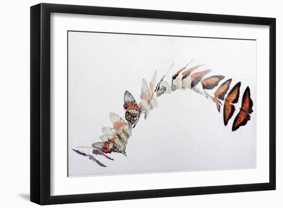 Charaxes zingha flight pattern, 2016-Odile Kidd-Framed Giclee Print