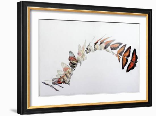 Charaxes zingha flight pattern, 2016-Odile Kidd-Framed Giclee Print