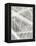 Charcoal Beam I-Vanna Lam-Framed Stretched Canvas