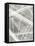 Charcoal Beam I-Vanna Lam-Framed Stretched Canvas