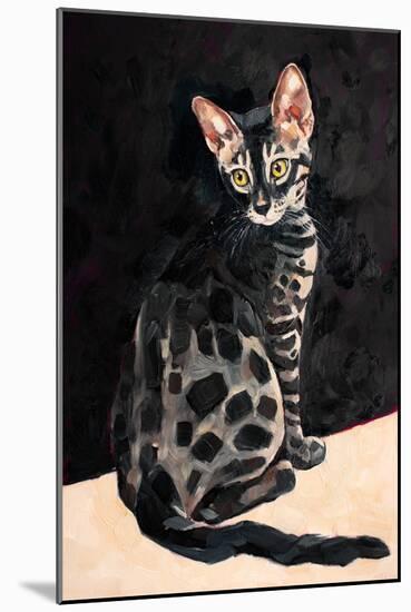 Charcoal Bengal-Julia-Mounted Giclee Print