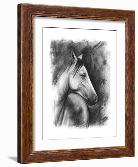 Charcoal Equestrian Portrait I-Naomi McCavitt-Framed Art Print