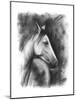 Charcoal Equestrian Portrait I-Naomi McCavitt-Mounted Art Print