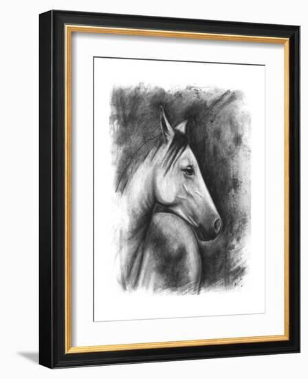 Charcoal Equestrian Portrait I-Naomi McCavitt-Framed Art Print