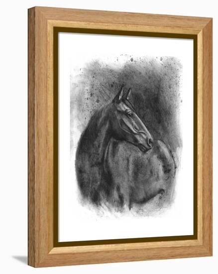 Charcoal Equestrian Portrait III-Naomi McCavitt-Framed Stretched Canvas