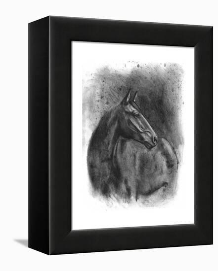 Charcoal Equestrian Portrait III-Naomi McCavitt-Framed Stretched Canvas