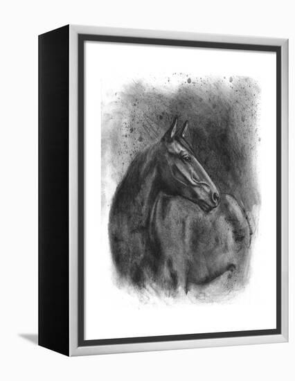 Charcoal Equestrian Portrait III-Naomi McCavitt-Framed Stretched Canvas