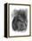 Charcoal Equestrian Portrait III-Naomi McCavitt-Framed Stretched Canvas