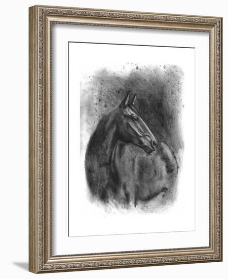 Charcoal Equestrian Portrait III-Naomi McCavitt-Framed Art Print
