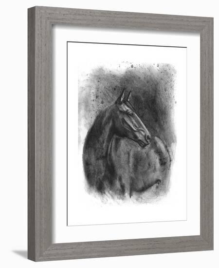 Charcoal Equestrian Portrait III-Naomi McCavitt-Framed Art Print