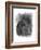 Charcoal Equestrian Portrait III-Naomi McCavitt-Framed Art Print