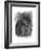 Charcoal Equestrian Portrait III-Naomi McCavitt-Framed Art Print