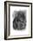 Charcoal Equestrian Portrait III-Naomi McCavitt-Framed Art Print