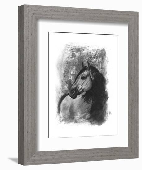 Charcoal Equestrian Portrait IV-Naomi McCavitt-Framed Art Print