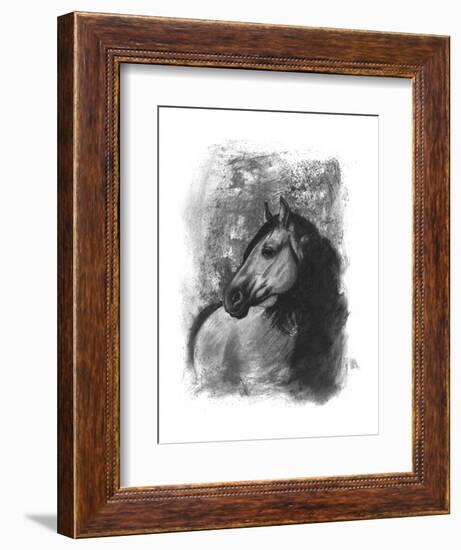 Charcoal Equestrian Portrait IV-Naomi McCavitt-Framed Art Print