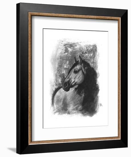 Charcoal Equestrian Portrait IV-Naomi McCavitt-Framed Art Print