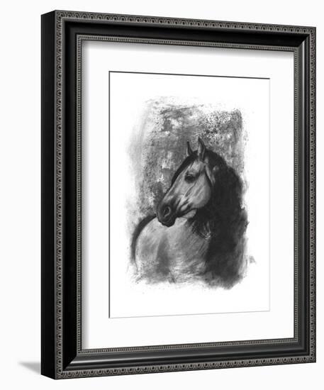 Charcoal Equestrian Portrait IV-Naomi McCavitt-Framed Art Print