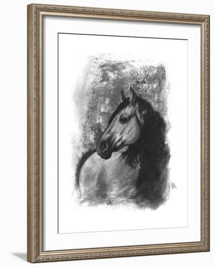 Charcoal Equestrian Portrait IV-Naomi McCavitt-Framed Art Print