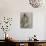 Charcoal Figure Study I-Ethan Harper-Premium Giclee Print displayed on a wall