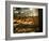 Charcoal Grill in Restaurant El Palenque, Mercado Del Puerto, Montevideo, Uruguay-Per Karlsson-Framed Photographic Print