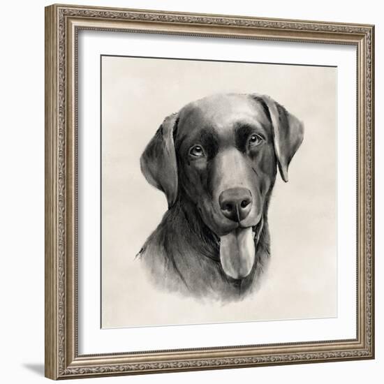 Charcoal Labrador I-Grace Popp-Framed Art Print