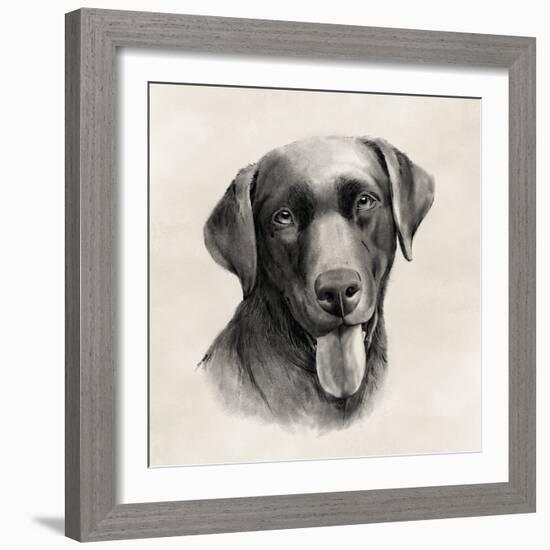 Charcoal Labrador I-Grace Popp-Framed Art Print