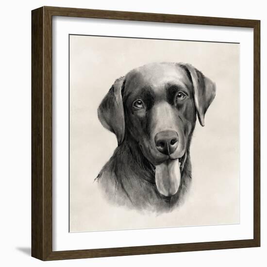 Charcoal Labrador I-Grace Popp-Framed Art Print