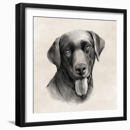 Charcoal Labrador I-Grace Popp-Framed Art Print