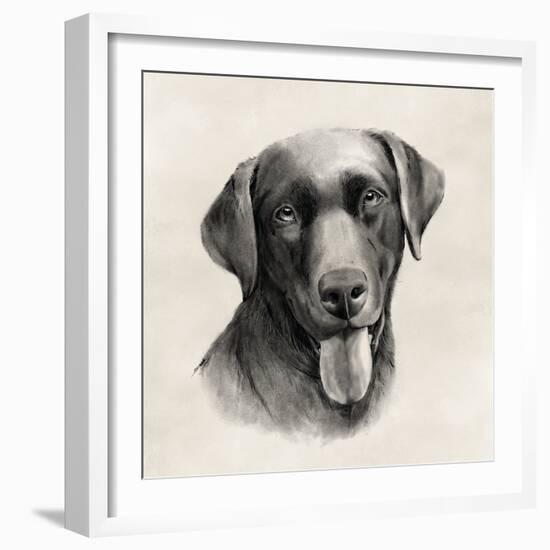 Charcoal Labrador I-Grace Popp-Framed Art Print