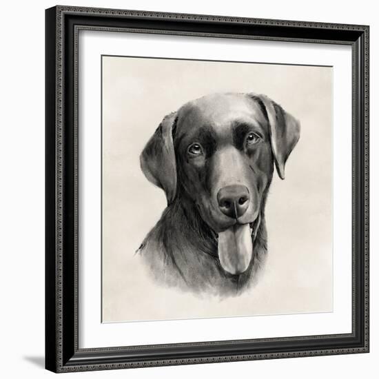 Charcoal Labrador I-Grace Popp-Framed Art Print