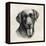 Charcoal Labrador I-Grace Popp-Framed Stretched Canvas