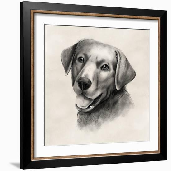 Charcoal Labrador II-Grace Popp-Framed Art Print