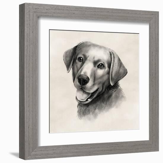 Charcoal Labrador II-Grace Popp-Framed Art Print