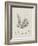 Charcoal & Linen Seaweed I-Henry Bradbury-Framed Art Print