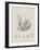 Charcoal & Linen Seaweed I-Henry Bradbury-Framed Art Print