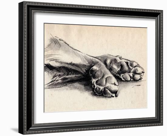 Charcoal Paws II-Jennifer Parker-Framed Art Print