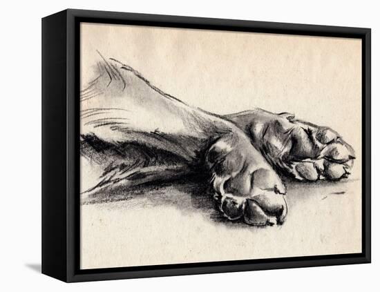 Charcoal Paws II-Jennifer Parker-Framed Stretched Canvas