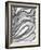 Charcoal Ripples 2-Smith Haynes-Framed Art Print