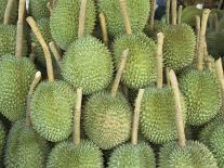 Durian Fruit Piled Up for Sale in Bangkok, Thailand, Southeast Asia, Asia-Charcrit Boonsom-Photographic Print
