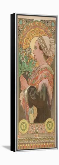 Chardon De Greves (Thistle), Ca. 1901-Alphonse Mucha-Framed Premier Image Canvas