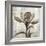 Chardonnay Botanicals II-Liz Jardine-Framed Art Print