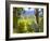 Chardonnay Grapes in the Knudsen Vineyard, Willamette Valley, Oregon, USA-Janis Miglavs-Framed Photographic Print