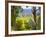 Chardonnay Grapes in the Knudsen Vineyard, Willamette Valley, Oregon, USA-Janis Miglavs-Framed Photographic Print