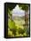 Chardonnay Grapes in the Knudsen Vineyard, Willamette Valley, Oregon, USA-Janis Miglavs-Framed Premier Image Canvas