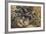 Charge Lancers - Cavalry Charge (Carica Di Lancieri - Carica Di Cavalleria)-Umberto Boccioni-Framed Giclee Print